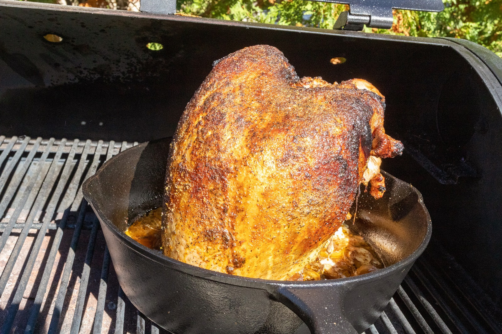 Beer and Rosemary Roasted Turkey Recipe 